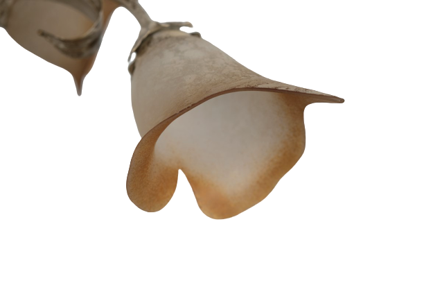 ANASTASIA DIFFUSORE VETRO E14