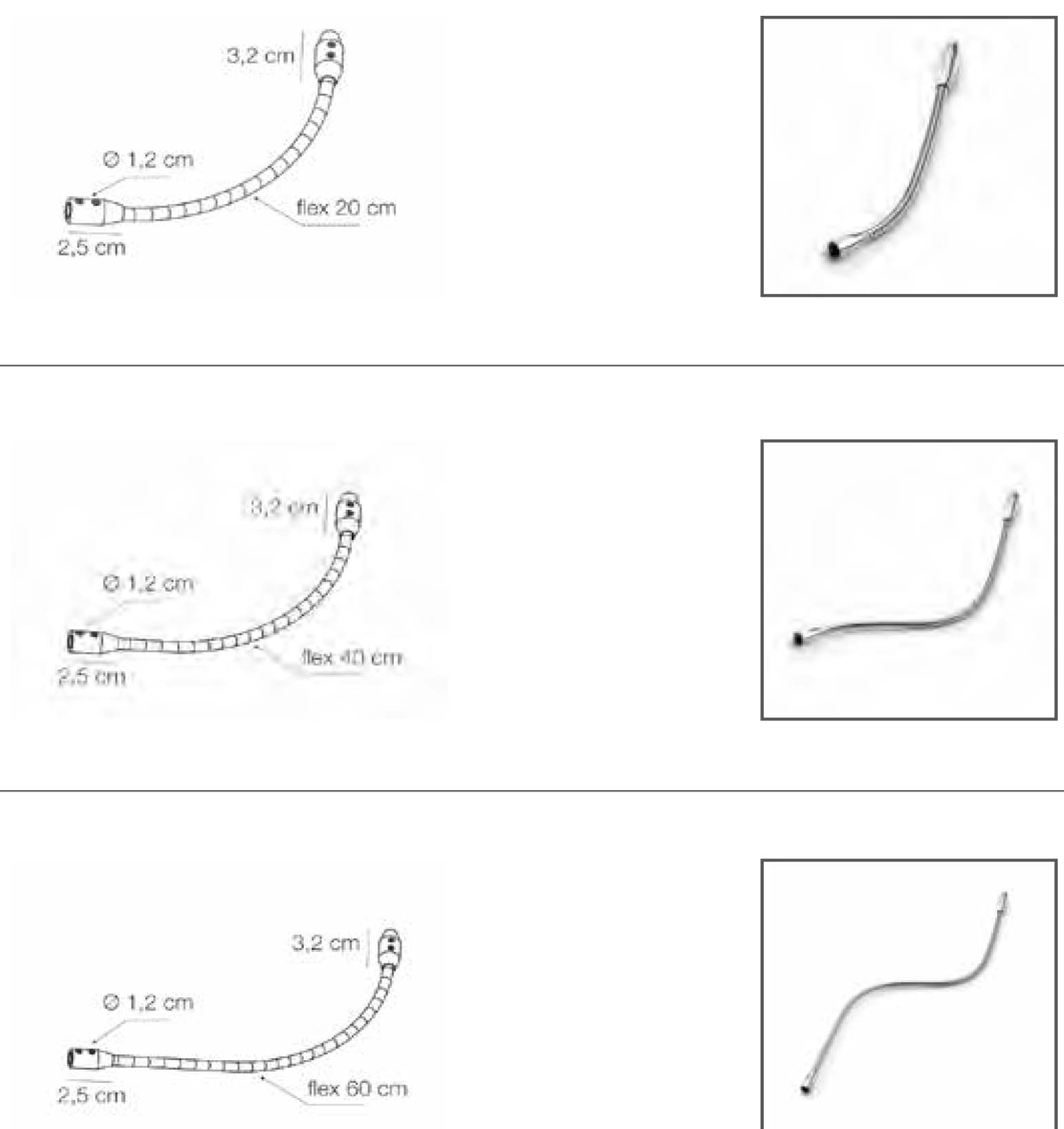 Eviva esempio collegamento laterale