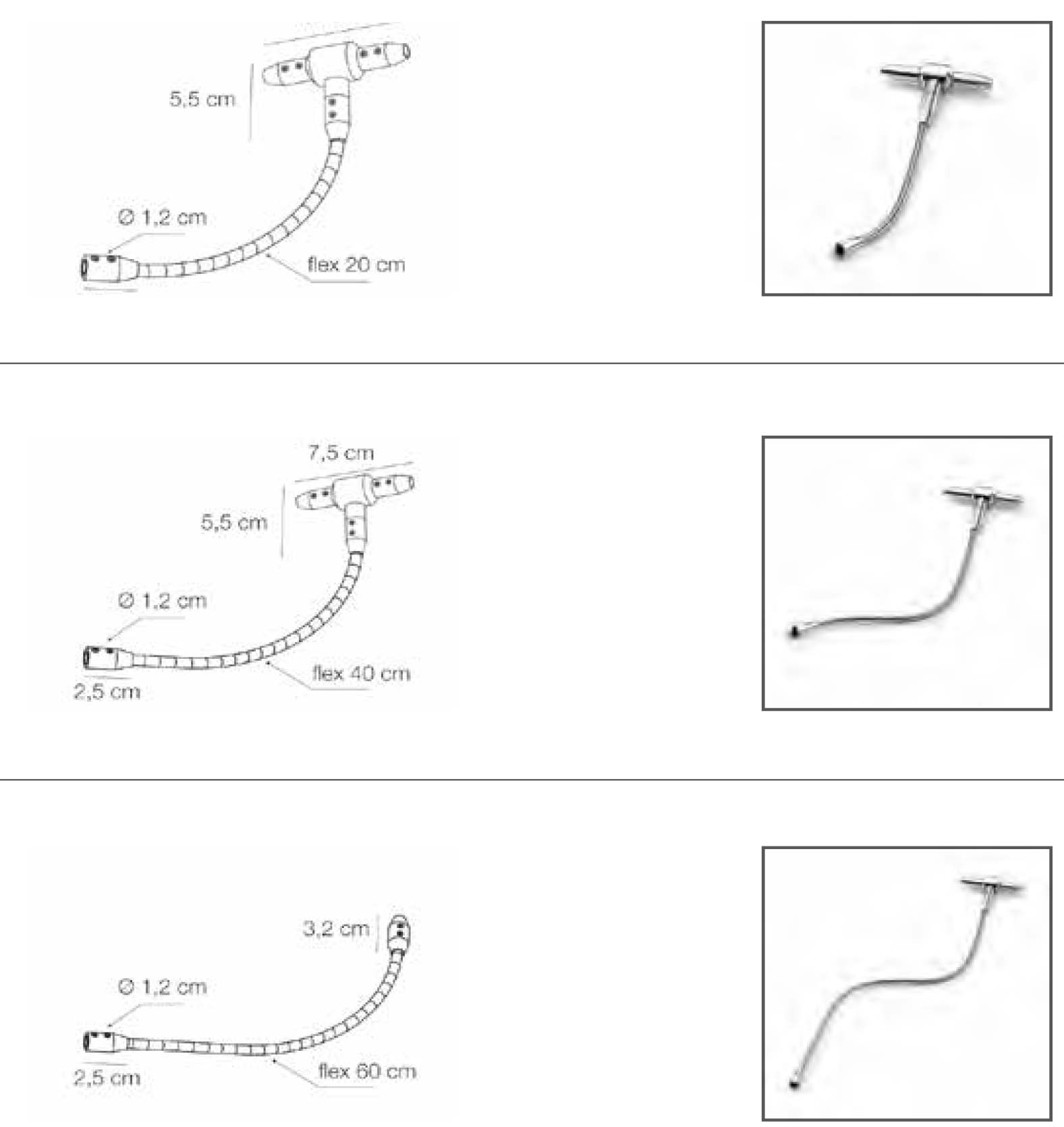 Eviva esempio collegamento
