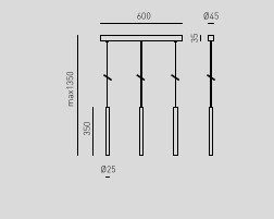 thalassia lineare misure