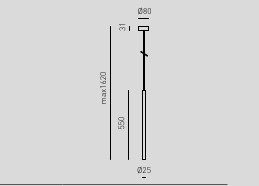 Thalassia singola grande misure